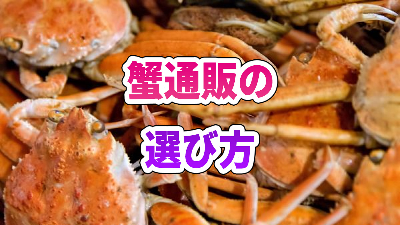 〇の料金相場