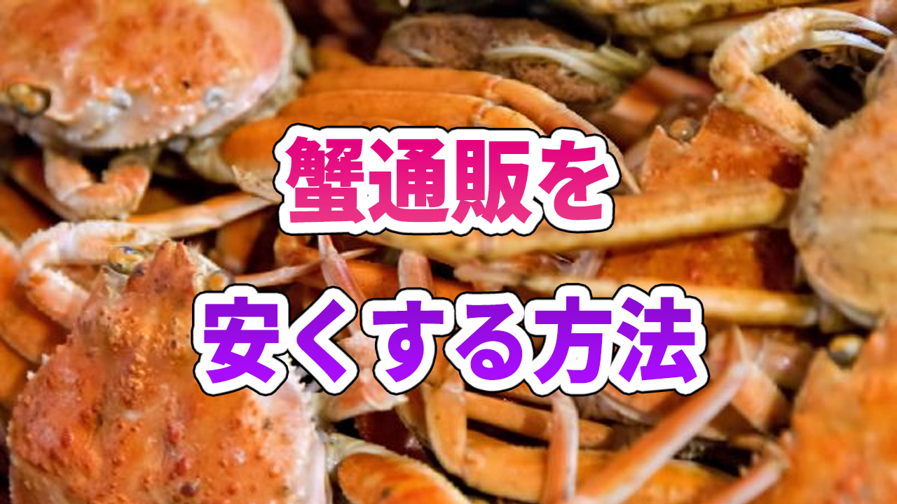 〇の料金相場