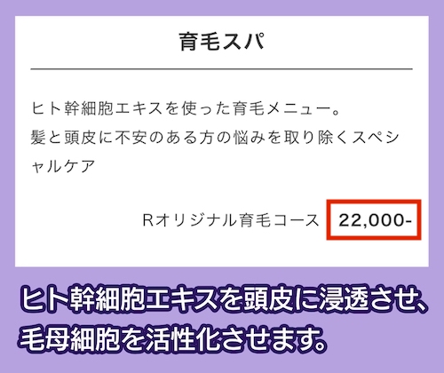 サロンRの料金相場