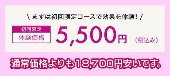 エステティック ミス・パリの初回限定コース