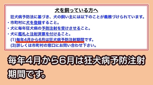 犬を飼っている方へ