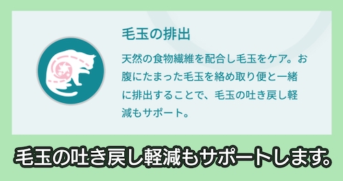 避妊・去勢した猫の体重ケア