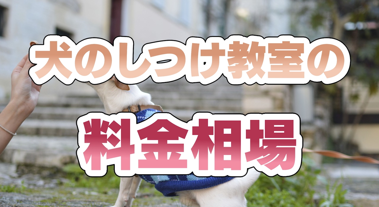 犬のしつけ教室の料金相場