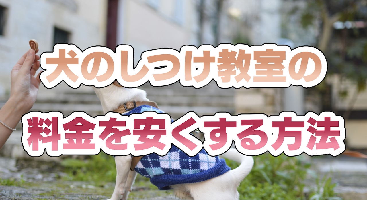 犬のしつけ教室の料金を安くする方法