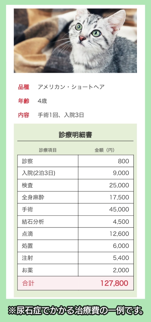 アイペット損害保険株式会社の治療費の一例