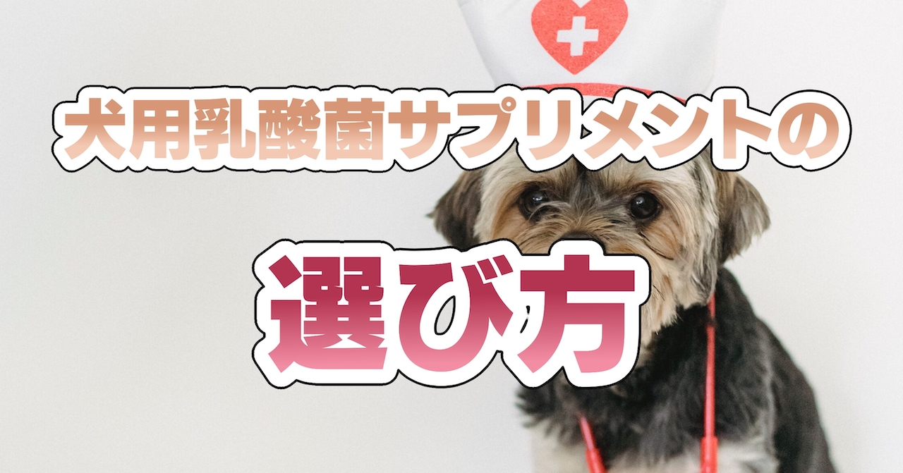 犬用乳酸菌サプリメントの選び方