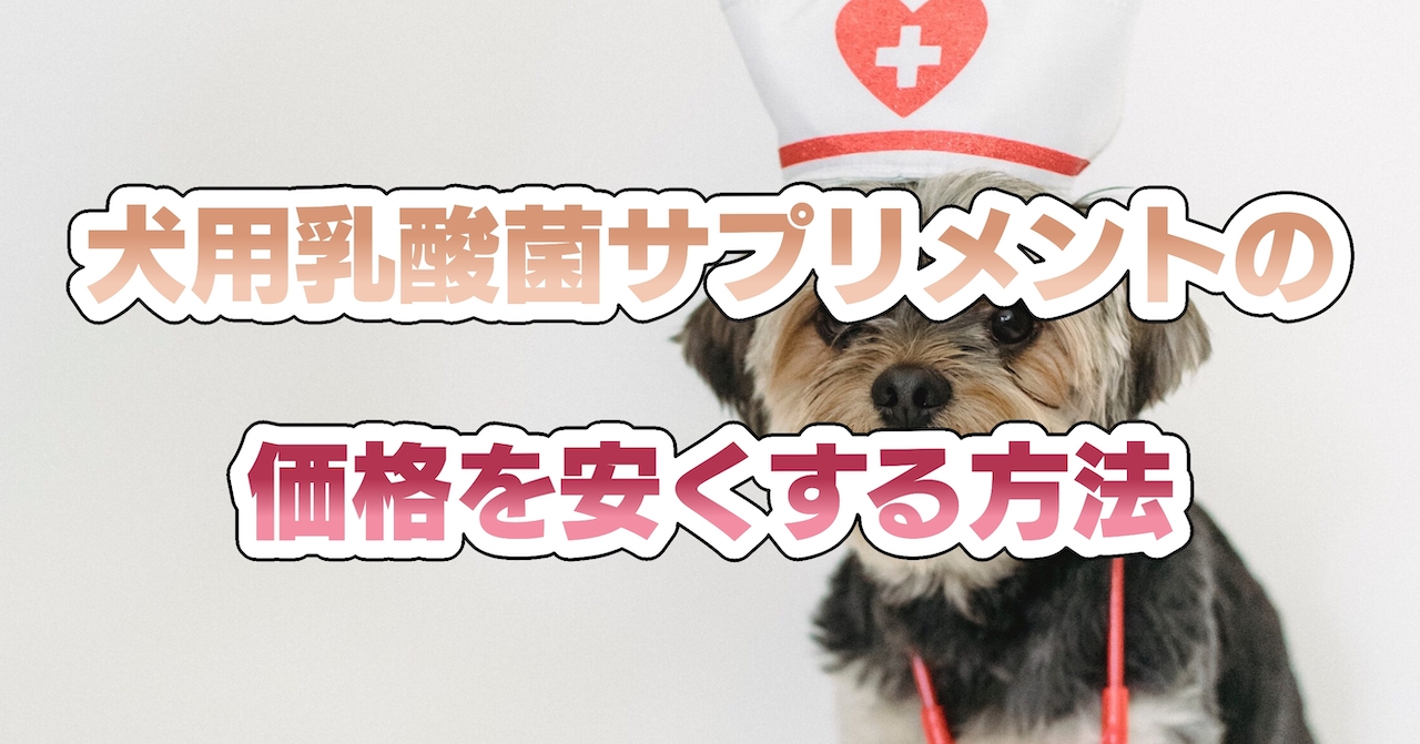 犬用乳酸菌サプリメントの価格を安くする方法