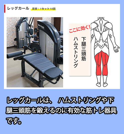 下半身に効果のある筋トレ器具