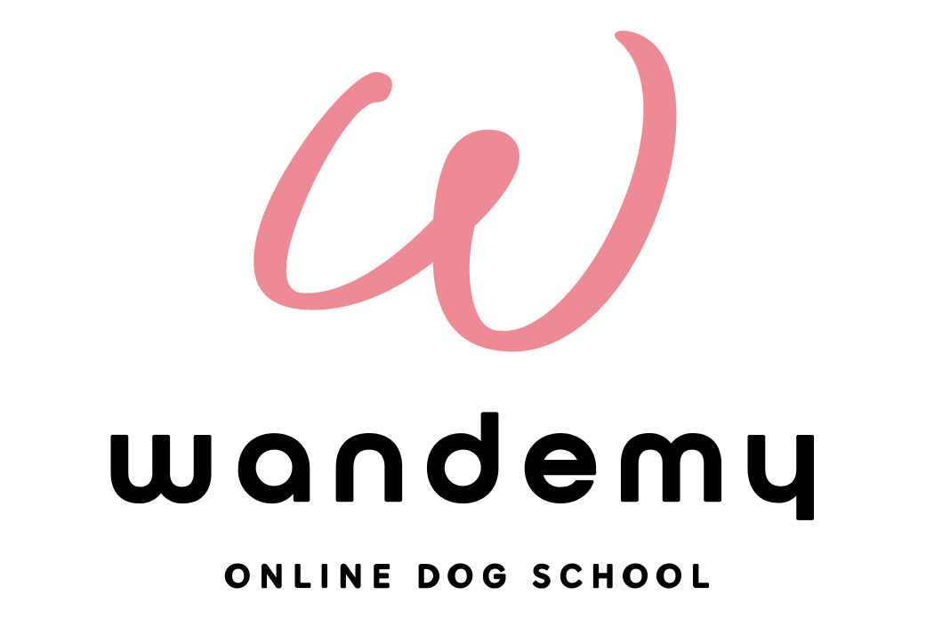 wandemy