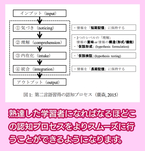 第二言語習得の認知プロセス