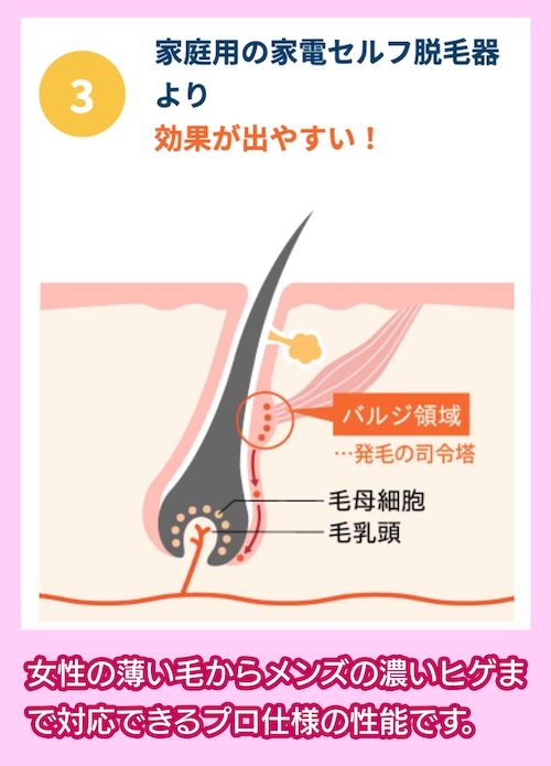 毛周期に関係なく脱毛できる仕組み