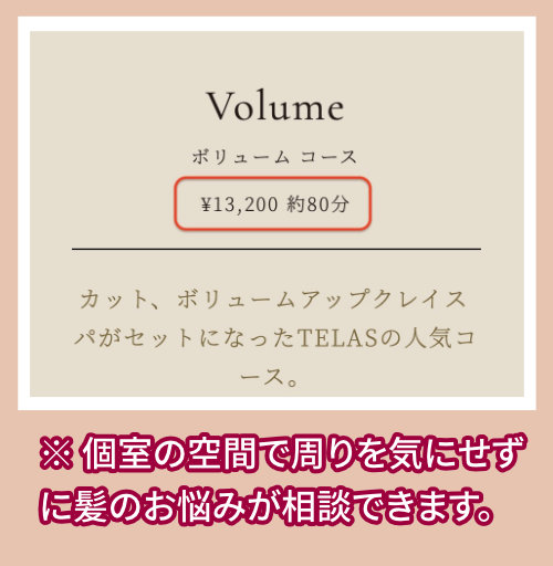 TELAS「ボリュームコース」料金