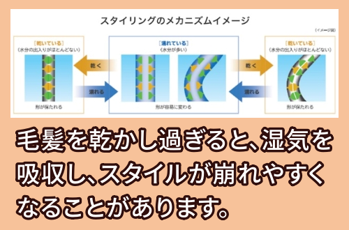 ヘアスタイルのメカニズム