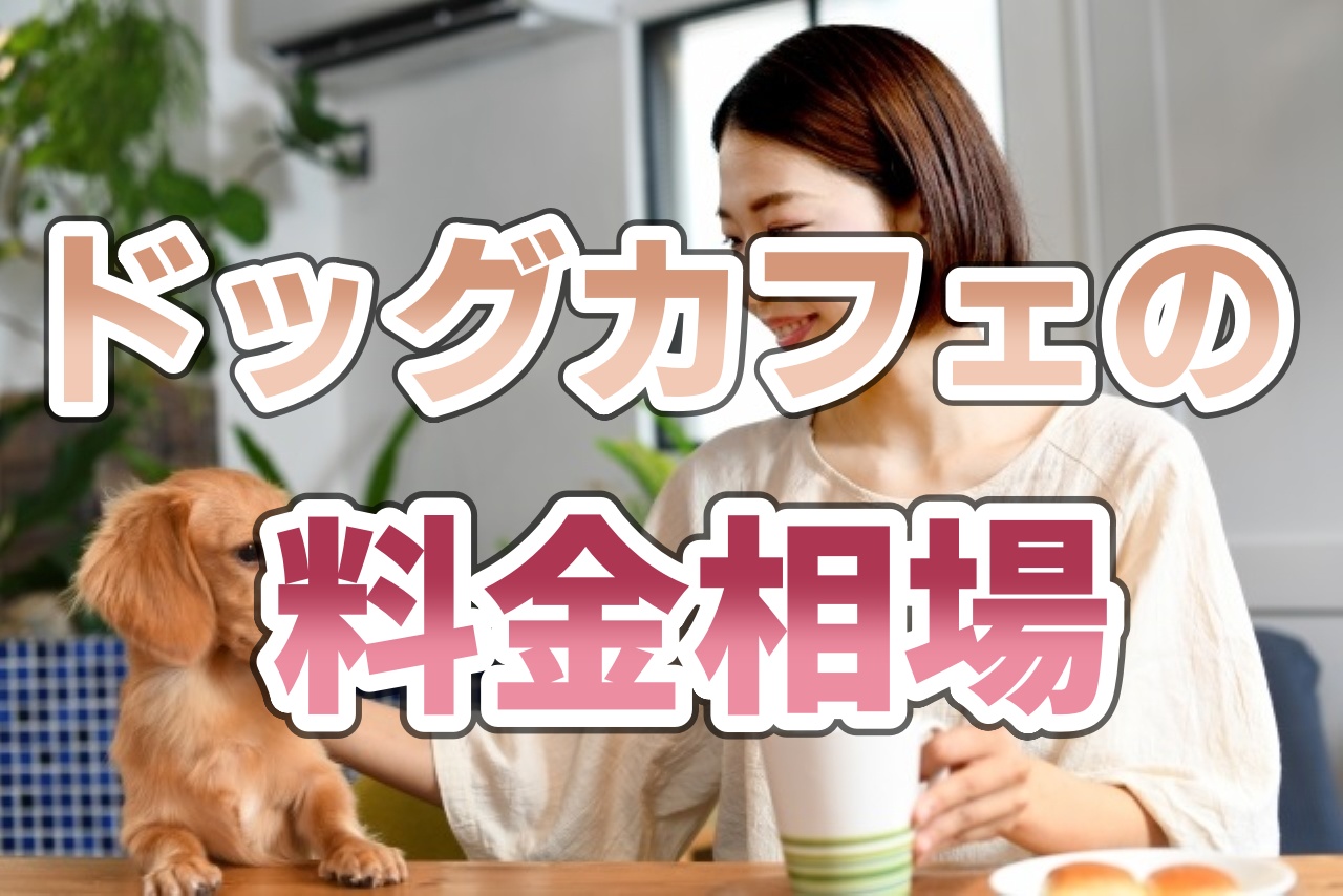 ドッグカフェの料金相場