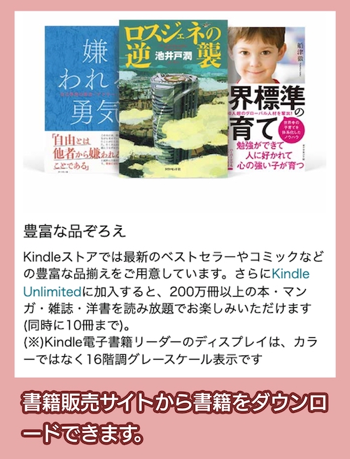 書籍販売サイトの専用端末の場合