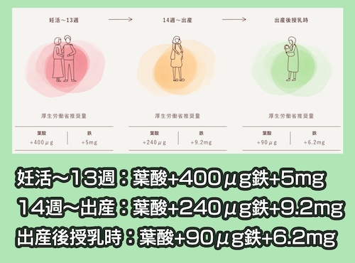 葉酸サプリの必要な時期と摂取量