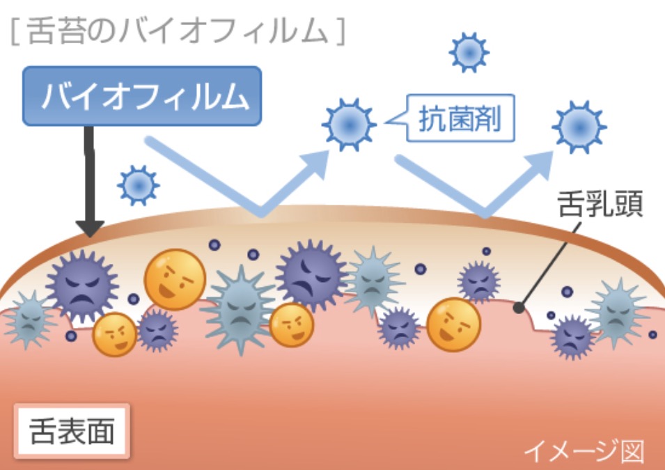 バイオフィルム