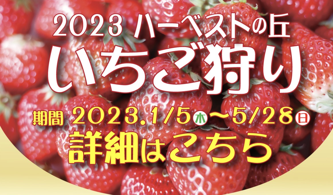 ハーヴェストの丘「いちご狩り」