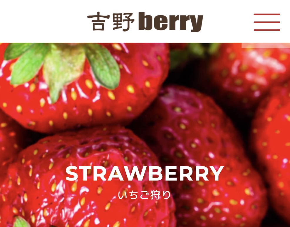 吉野berry「いちご狩り」