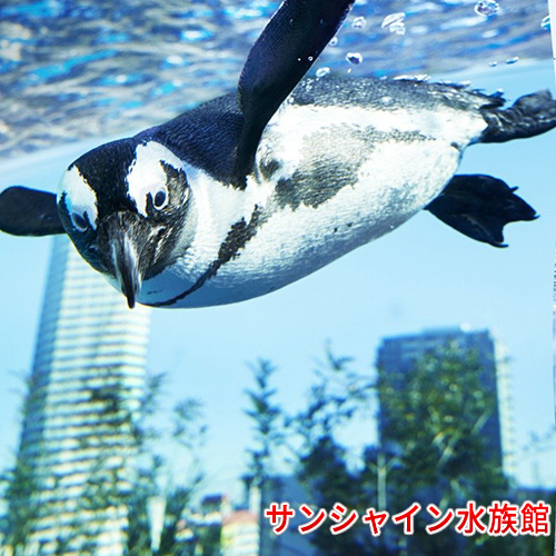 サンシャイン水族館