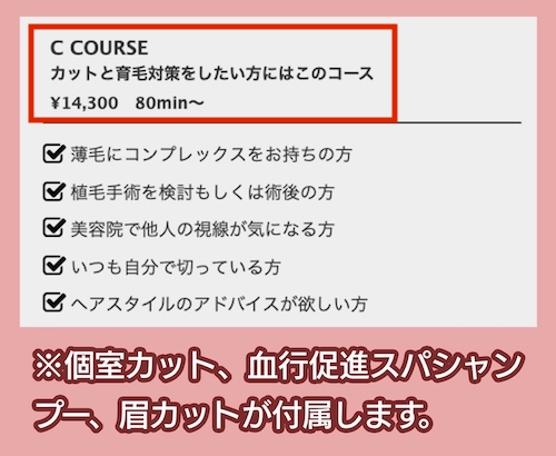 INTI「C COURSE」料金