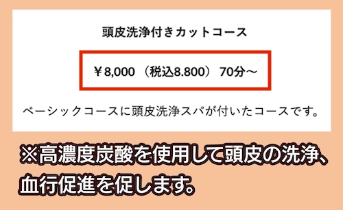 SHARE HOMME「頭皮洗浄付きカットコース」料金