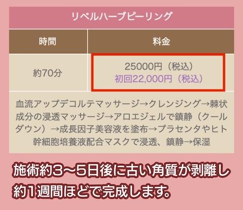 エステティックサロン シュリーの料金相場