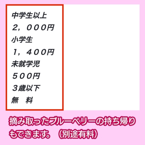 ブルーベリーガーデン伊吹の料金相場