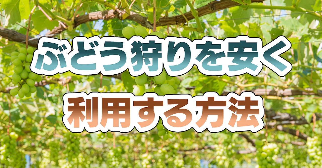 ぶどう狩りを安く利用する方法