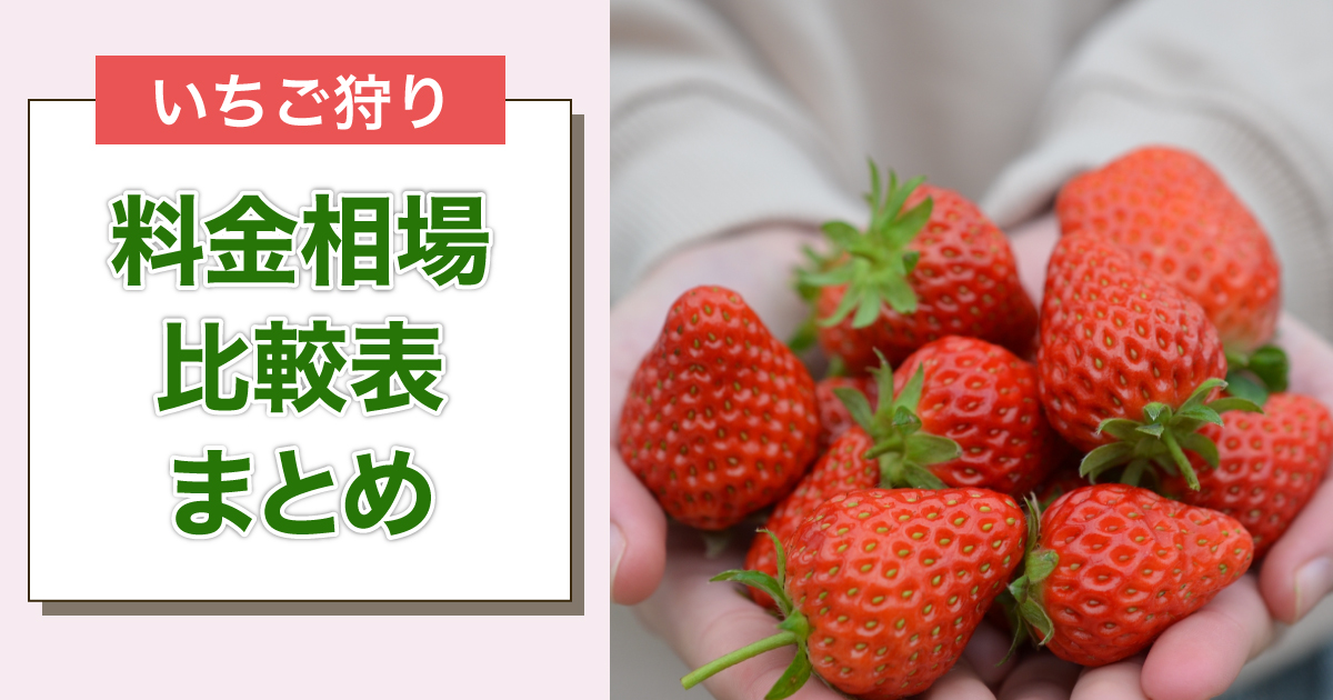 いちご狩りの料金相場比較表 まとめ