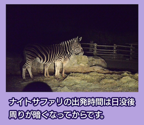 季節や時間帯によって違う景色が見れる