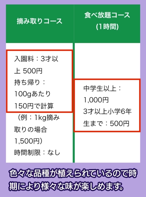 うえだブルーベリー畑の料金相場