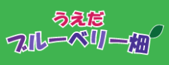 うえだブルーベリー畑