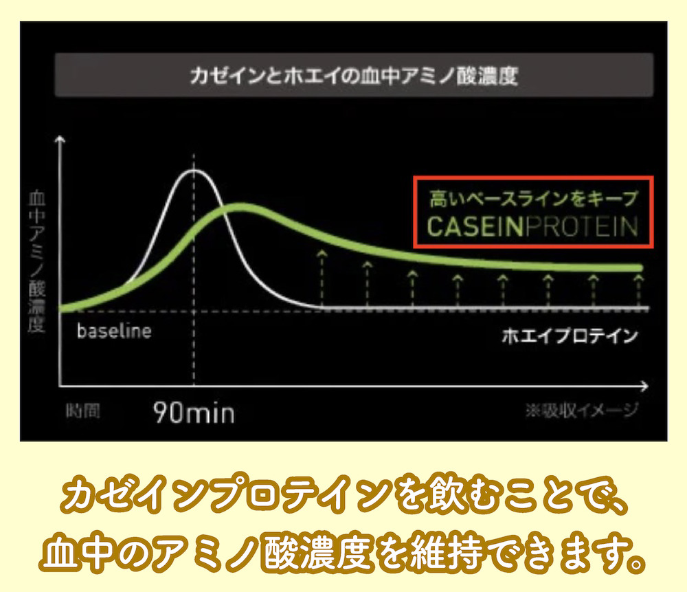 カゼインとホエイの血中アミノ酸濃度の違い