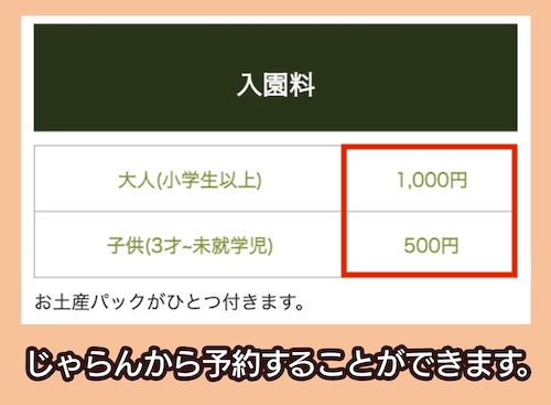 藤崎ブルーベリーファームの料金相場