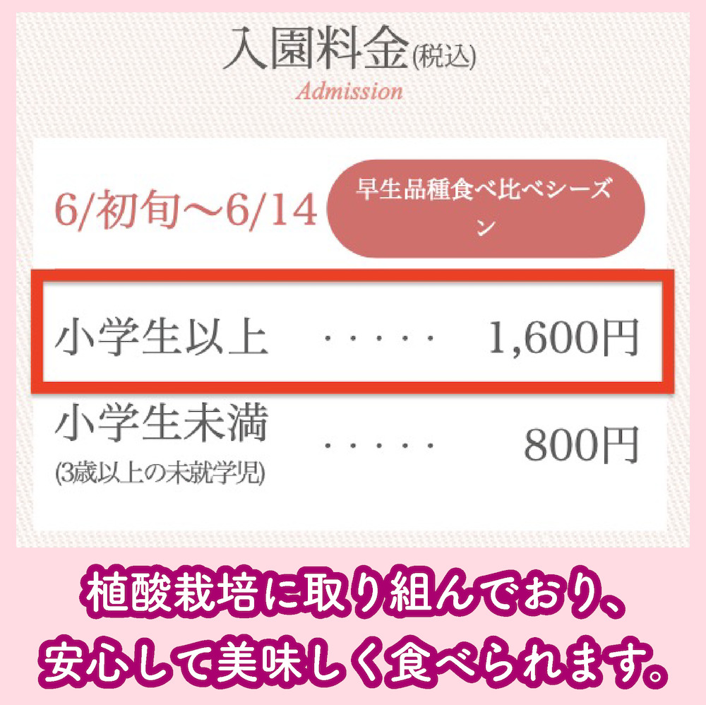 鈴木さくらんぼ園の料金