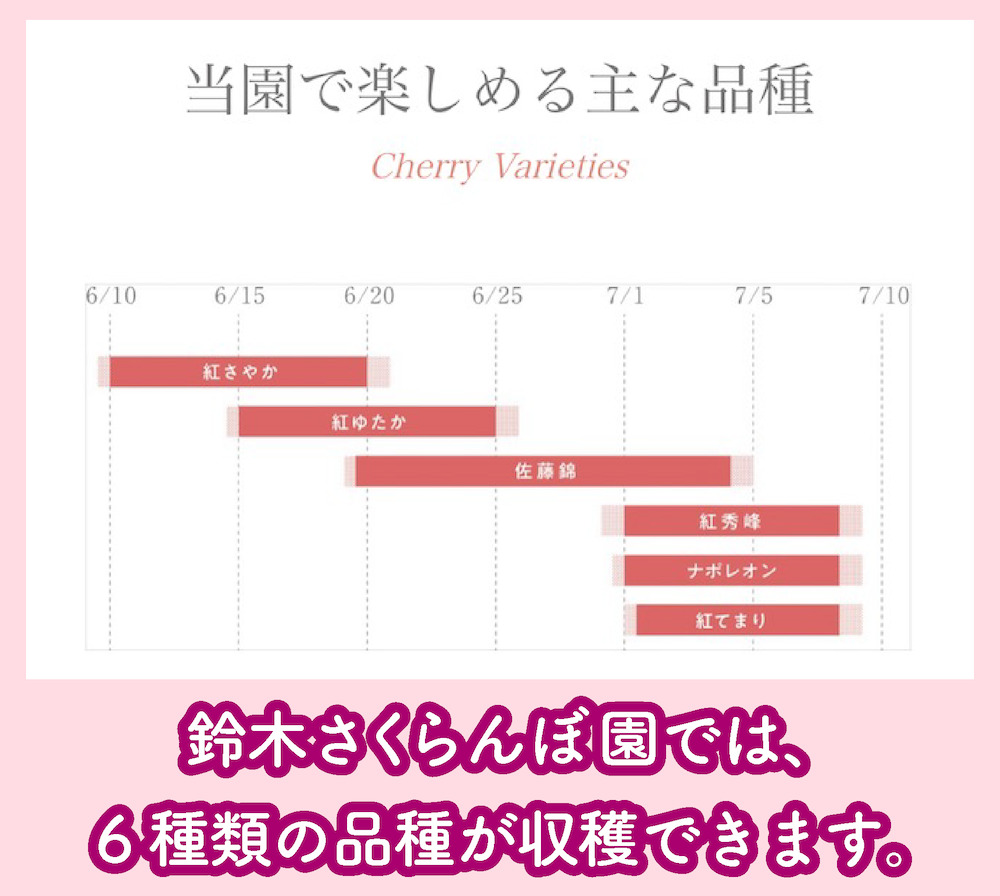 鈴木さくらんぼ園の品種