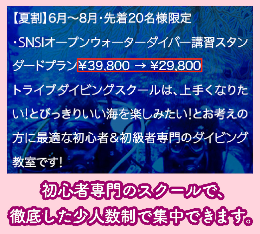 トライブダイビングスクールの料金