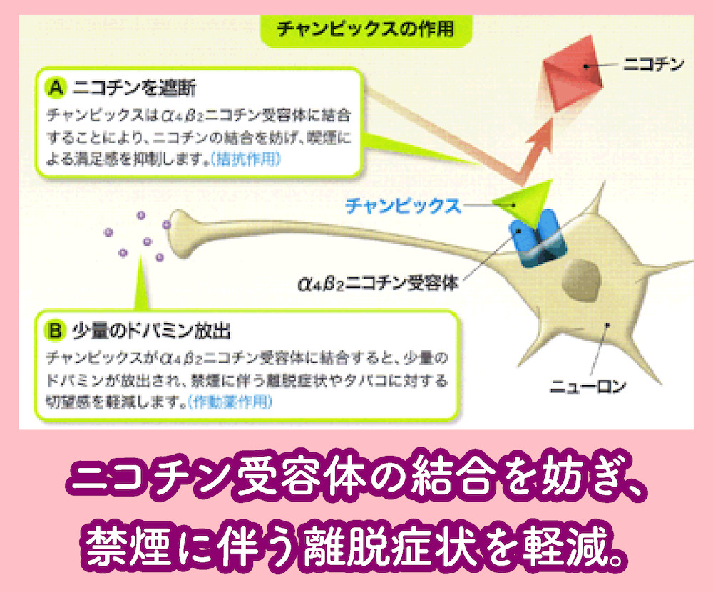 チャンピックスの仕組み