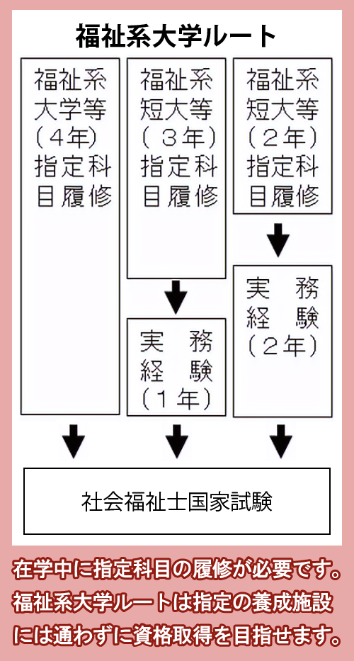 福祉系大学ルートの概要図