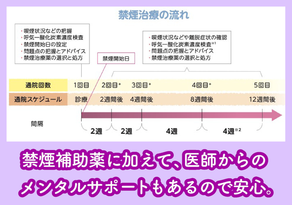 禁煙プログラムの流れ