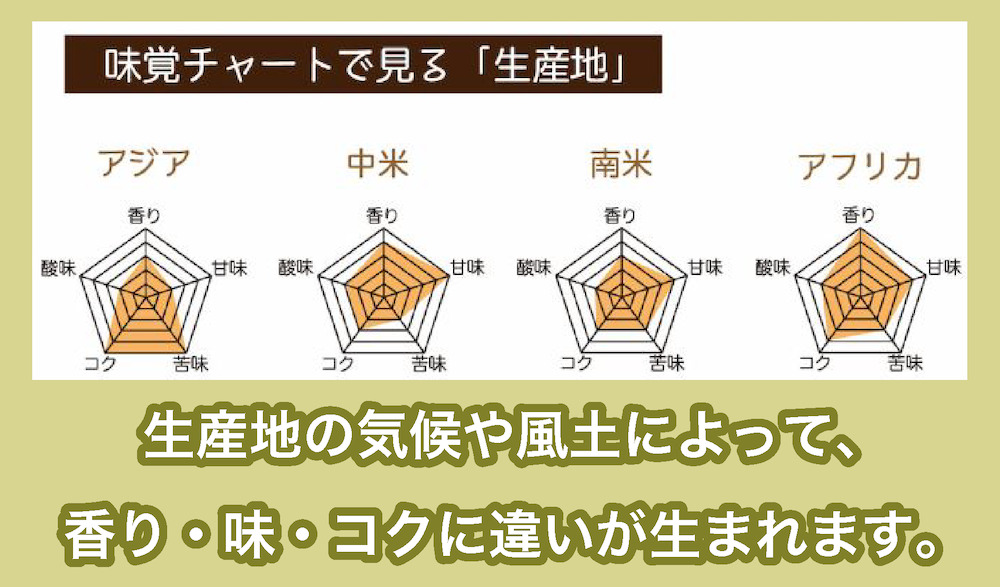 コーヒー豆の味覚チャート