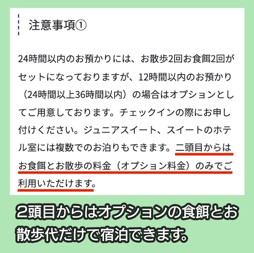 つばさ動物病院 複数頭