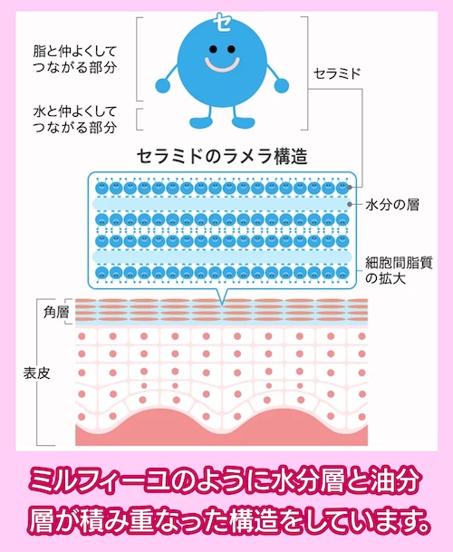 セラミド配合化粧水の必要性