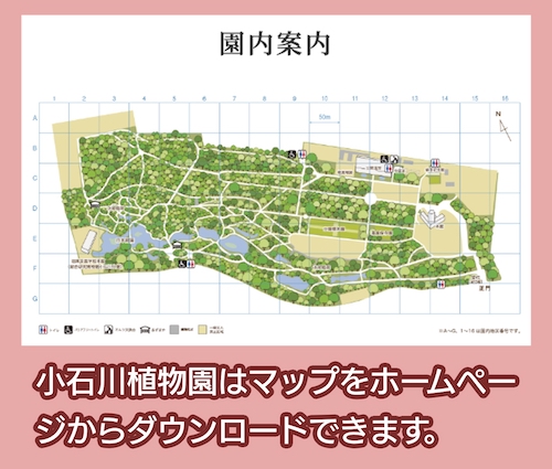 小石川植物園 園内案内