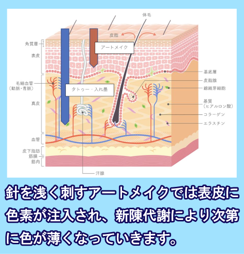 刺青とアートメイクの違い