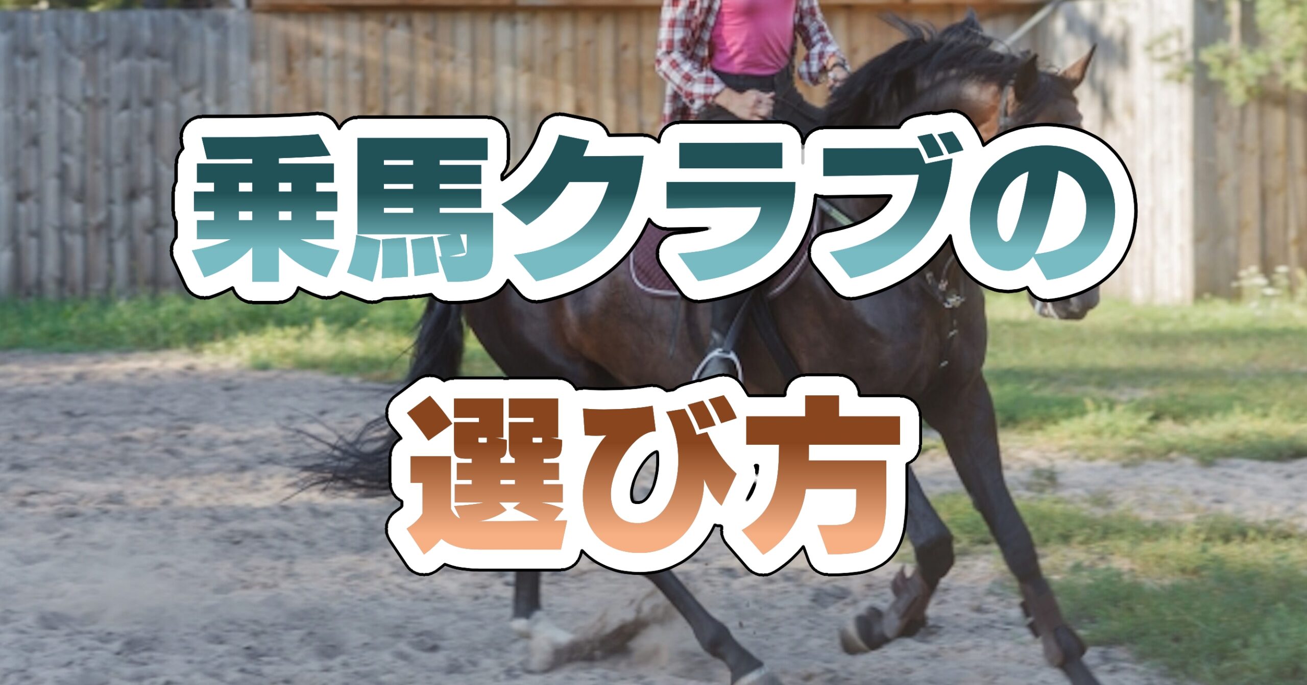 乗馬クラブの選び方