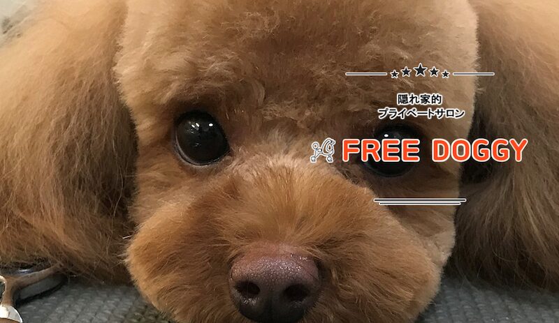 FREE DOGGY