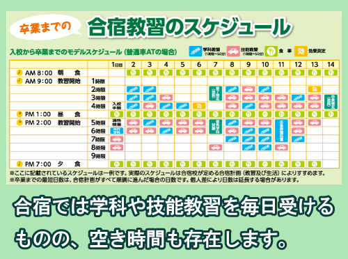 自動車運転免許合宿のスケジュール