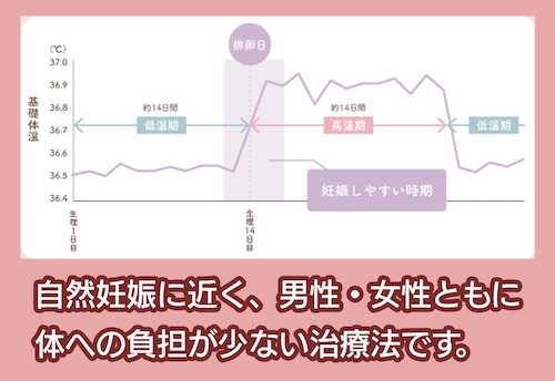 加藤レディスクリニック タイミング療法